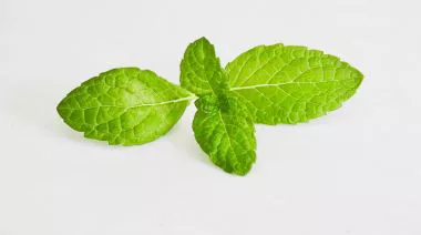 garnishing-instructions-image